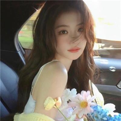 波普先生的企鹅